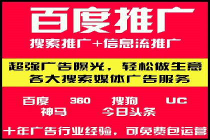 搜索引擎推广的佼佼者——百度搜索推广案例